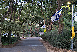 Bernhard Saalfeld - Nir Oz (9v9)